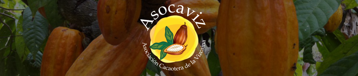 Asocaviz